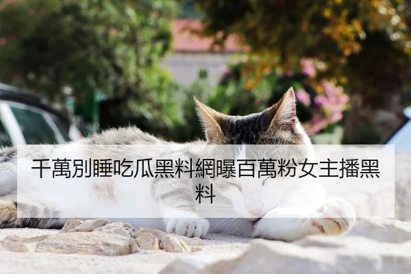 千萬別睡吃瓜黑料網曝百萬粉女主播黑料